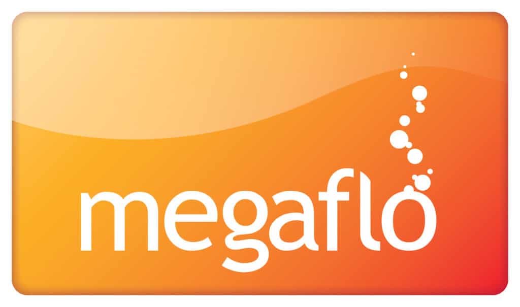 MegafloBrand-Logo-1024x605-1 (1)
